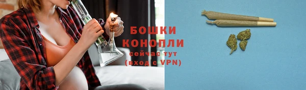 гидра Заволжье