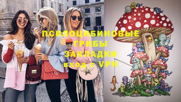 первитин Ельня