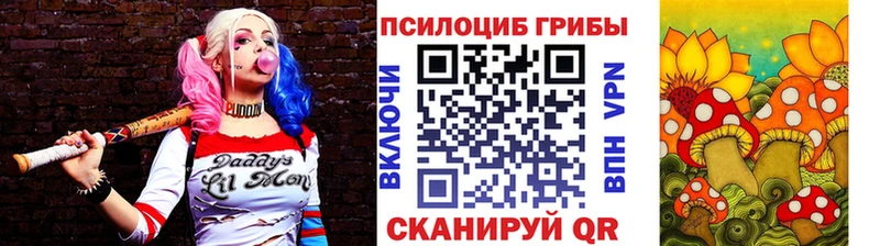 Купить где  Краснотурьинск  Галлюциногенные грибы GOLDEN TEACHER 