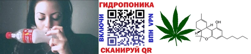Купить  Краснотурьинск  Каннабис ГИДРОПОН 